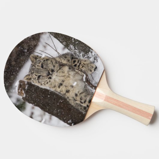 Snow Leopard Cub Tafeltennisbatje (Zijkant)