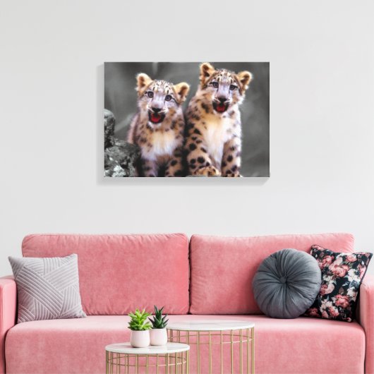 Snow Leopard Cubs Canvas Afdruk (Insitu (Woonkamer))