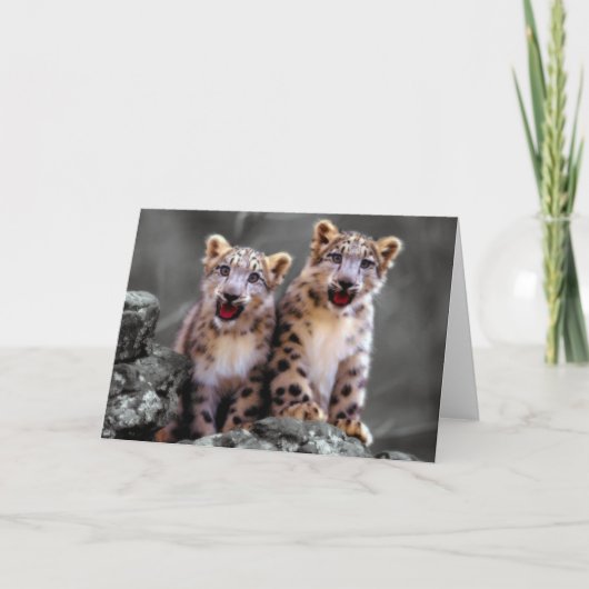 Snow Leopard Cubs Kaart (Voorkant)
