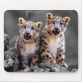 Snow Leopard Cubs Muismat (Voorkant)