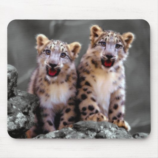 Snow Leopard Cubs Muismat (Voorkant)