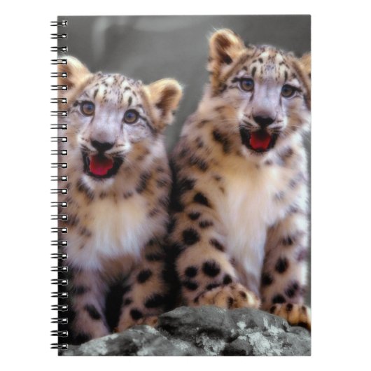 Snow Leopard Cubs Notitieboek (Voorkant)