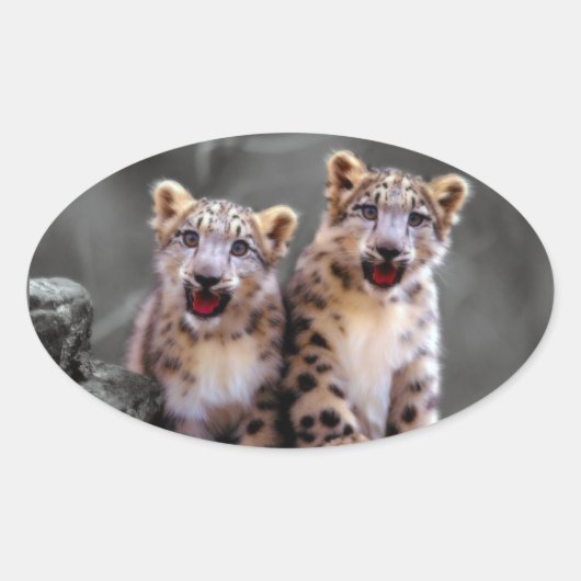 Snow Leopard Cubs Ovale Sticker (Voorkant)
