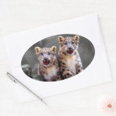Snow Leopard Cubs Ovale Sticker (Envelop)