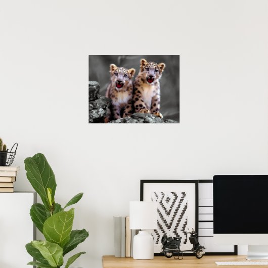 Snow Leopard Cubs Poster (Thuiskantoor)