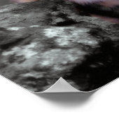 Snow Leopard Cubs Poster (Hoek)