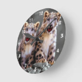 Snow Leopard Cubs Ronde Klok (Hoek)