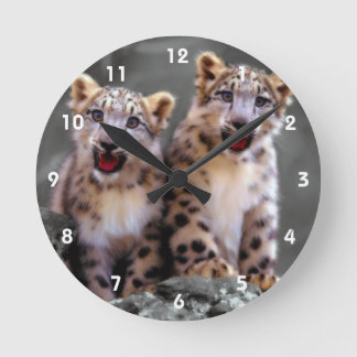 Snow Leopard Cubs Ronde Klok