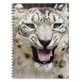Snow Leopard Face Notitieboek (Voorkant)