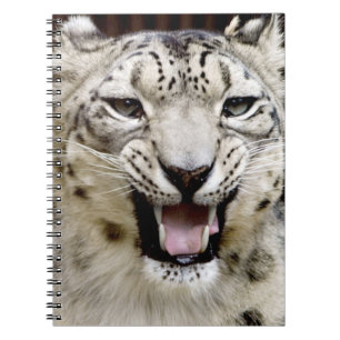 Snow Leopard Face Notitieboek