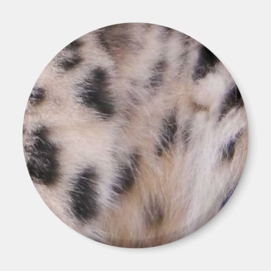 Snow Leopard Fur Magneet (Voorkant)