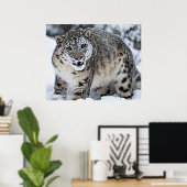 Snow Leopard Growling Poster (Thuiskantoor)