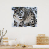 Snow Leopard Growling Poster (Keuken)