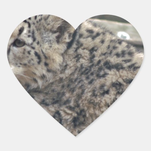 Snow Leopard Hart Sticker (Voorkant)
