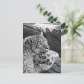 Snow Leopard Icy Stare Briefkaart (Staand voorkant)