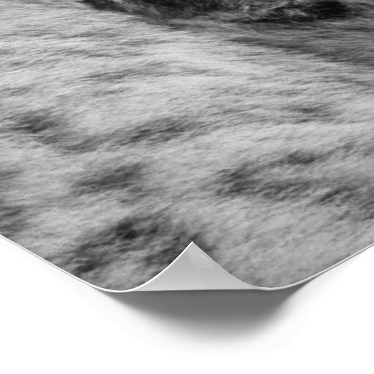 Snow Leopard Icy Stare Poster (Hoek)