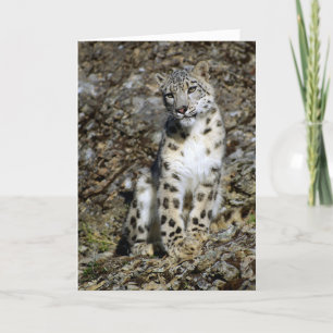 Snow Leopard - Kaart met kerst