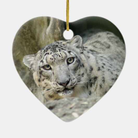 Snow Leopard-kerstversiering Keramisch Ornament (Achterkant)