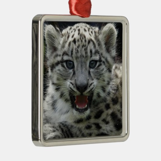 Snow Leopard Kitten Metalen Ornament (Rechts)