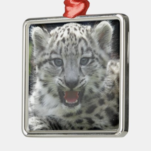 Snow Leopard Kitten Metalen Ornament (Links)