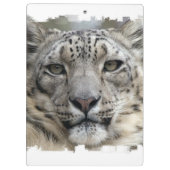 Snow Leopard Klembord (Achterkant)