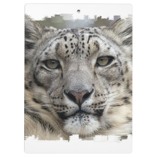 Snow Leopard Klembord (Achterkant)