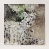 Snow Leopard Legpuzzel (Verticaal)