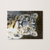 Snow Leopard Legpuzzel (Horizontaal)