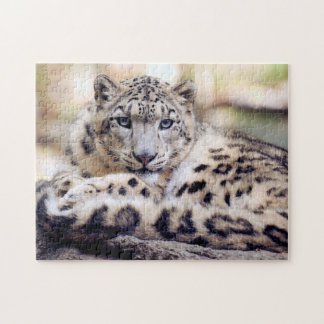 Snow Leopard Legpuzzel