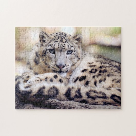Snow Leopard Legpuzzel (Horizontaal)