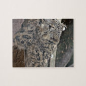 Snow Leopard Legpuzzel (Horizontaal)