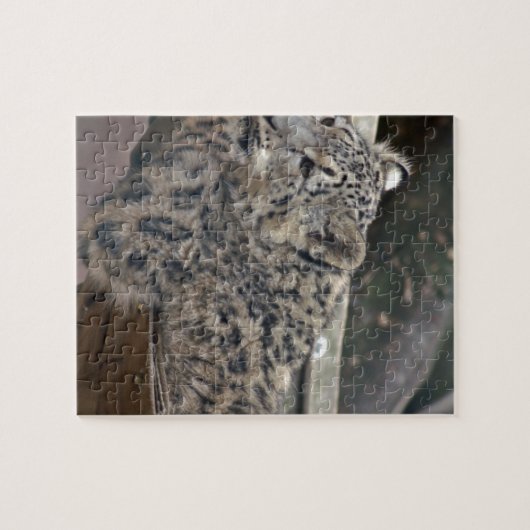 Snow Leopard Legpuzzel (Horizontaal)