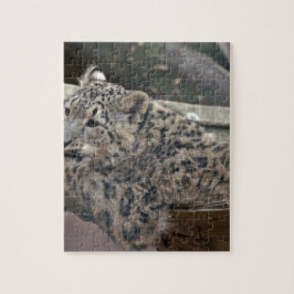 Snow Leopard Legpuzzel