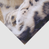 Snow Leopard Lying Down Tissuepapier (Detail)