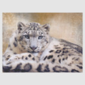 Snow Leopard Lying Down Tissuepapier (Voorkant)