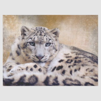 Snow Leopard Lying Down Tissuepapier