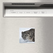 Snow Leopard Magneet (Insitu (Vaatwasser))