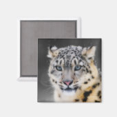 Snow Leopard Magneet (Voorkant / Achterkant)