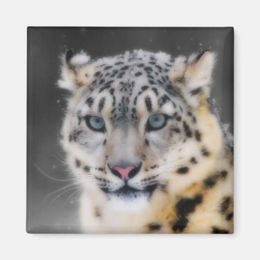Snow Leopard Magneet (Voorkant)