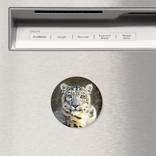 Snow Leopard Magneet (Insitu (Vaatwasser))