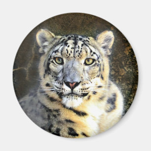 Snow Leopard Magneet