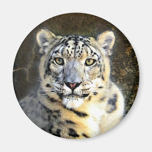 Snow Leopard Magneet (Voorkant)