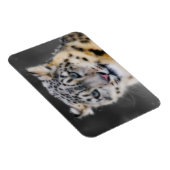 Snow Leopard Magneet (Rechterzijde)