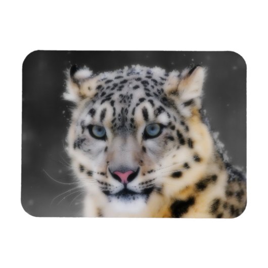 Snow Leopard Magneet (Horizontaal)