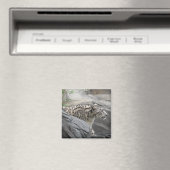 Snow Leopard Magnet (Insitu (Vaatwasser))