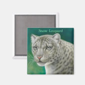 Snow Leopard Magnet (Voorkant / Achterkant)