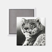 Snow Leopard Magnet (Voorkant / Achterkant)