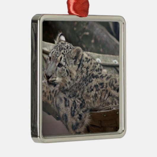 Snow Leopard Metalen Ornament (Rechts)