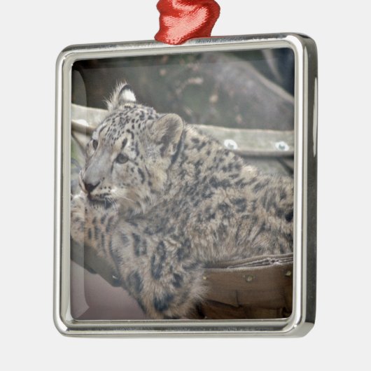 Snow Leopard Metalen Ornament (Links)