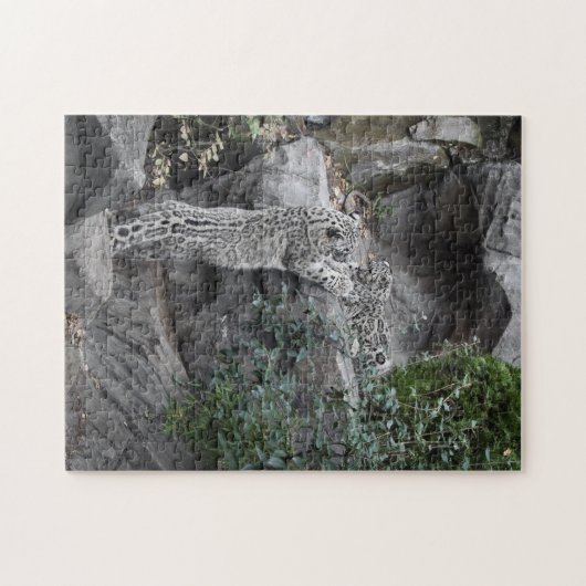 Snow Leopard Moeder en Cub Legpuzzel (Horizontaal)
